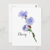 Waterverf Chicory Flowers Briefkaart (Voorkant / Achterkant)