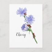 Waterverf Chicory Flowers Briefkaart (Voorkant)