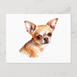 Waterverf Chihuahua Briefkaart