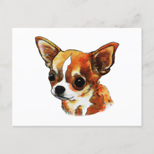 Waterverf Chihuahua Briefkaart