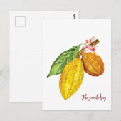 Waterverf chocoladeboomfruit briefkaart (Voorkant / Achterkant)