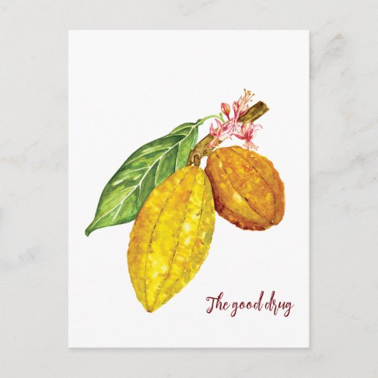 Waterverf chocoladeboomfruit briefkaart (Voorkant)