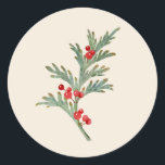 Waterverf Christmas Juniper Branch met bessen Ronde Sticker<br><div class="desc">Waterverf Christmas Juniper Branch met bessen</div>