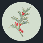 Waterverf Christmas Juniper Branch met bessen Ronde Sticker<br><div class="desc">Waterverf Christmas Juniper Branch met bessen</div>