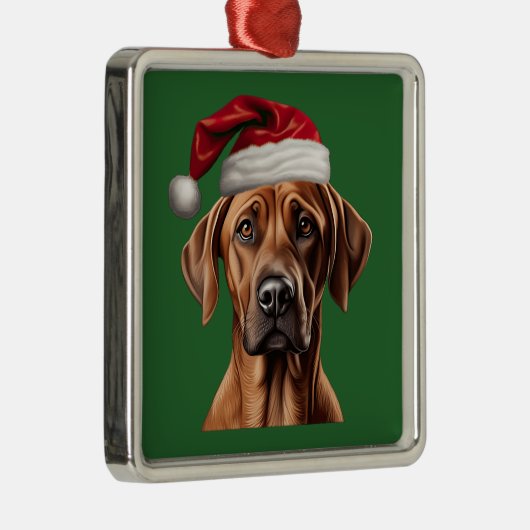 Waterverf Christmas Rhodesian Ridgeback Ornament (Rechts)
