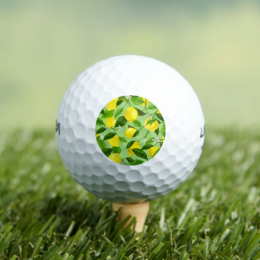 Waterverf citroen 3 golfballen (Insitu Shirt)