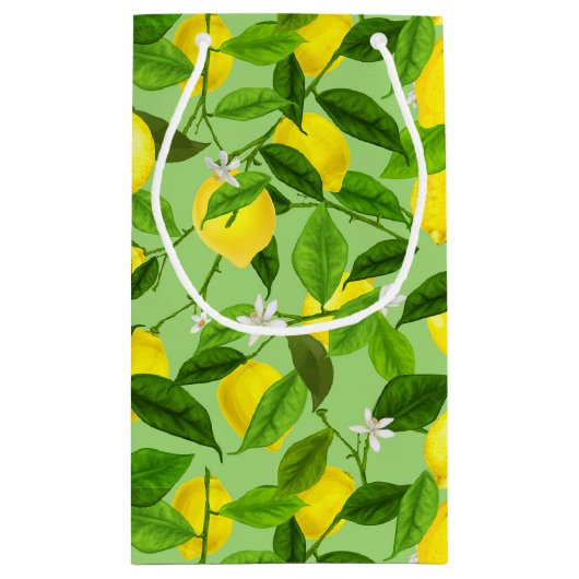 Waterverf citroen 3 klein cadeauzakje (Achterkant)