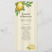 Waterverf citroen citrus rustieke bruiloft program menu (Voorkant)