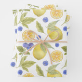 Waterverf citroen en bosbessen fruit met bladeren inpakpapier vel (In situ)