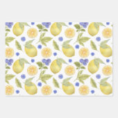 Waterverf citroen en bosbessen fruit met bladeren inpakpapier vel (Voorkant)