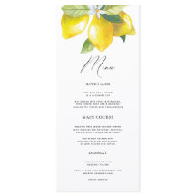 Waterverf Citroen Mediterraan Menu