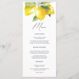 Waterverf Citroen Mediterraan Menu
