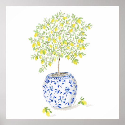 Waterverf citroenboom poster (Voorkant)