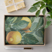 Waterverf Citroenboomgaard Citrus Tissuepapier (Geschenk)