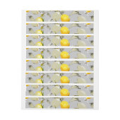 Waterverf citroenen 19 (Vel)