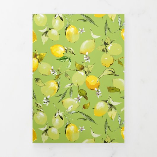 Waterverf citroenen 22 drieluik aankondiging (Cover)