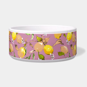 Waterverf citroenen 25 voerbakje