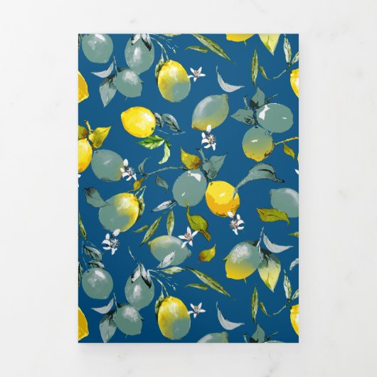 Waterverf citroenen 29 drieluik aankondiging (Cover)