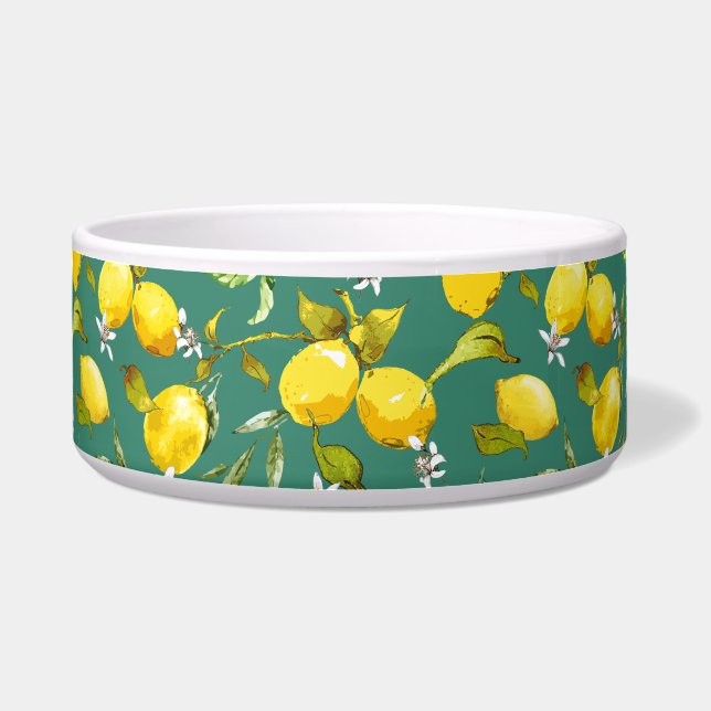 Waterverf citroenen 6 voerbakje (Voorkant)