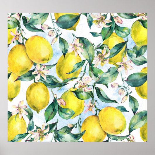 Waterverf citroenen, verse citrus tak. poster (Voorkant)