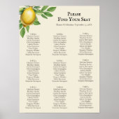 Waterverf Citrus Rustieke Zitting Grafiek Poster (Voorkant)