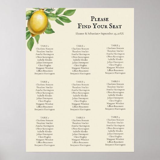 Waterverf Citrus Rustieke Zitting Grafiek Poster (Voorkant)