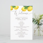 Waterverf citrustuinbouwprogramma voor citroencitr (Staand voorkant)