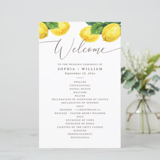 Waterverf citrustuinbouwprogramma voor citroencitr (Staand voorkant)