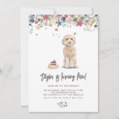  Waterverf Cockapoo Dog Verjaardagsfeestje Kaart (Voorkant)