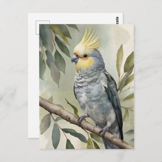 Waterverf Cockatiel Eucalyptus Tree Briefkaart (Voorkant / Achterkant)