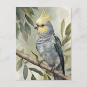 Waterverf Cockatiel Eucalyptus Tree Briefkaart (Voorkant)