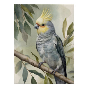 Waterverf Cockatiel Eucalyptus Tree Perfect Poster