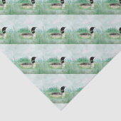 Waterverf Common Loon Bird Natuur Art Tissuepapier (Detail)