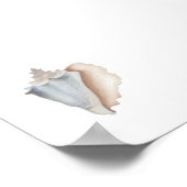 Waterverf conch print (Hoek)