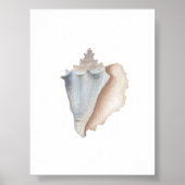 Waterverf conch print (Voorkant)
