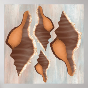 Waterverf Conch Seashell Poster