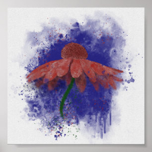 Waterverf Coneflower Poster