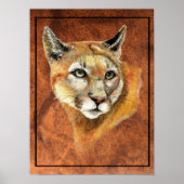 Waterverf Cougar Mountain Lion Puma Tracks Poste Poster (Voorkant)