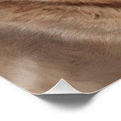 Waterverf Cougar nr. 4 Perfect Poster (Hoek)