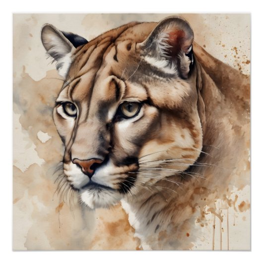 Waterverf Cougar nr. 5 Perfect Poster (Voorkant)