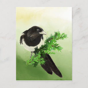 Waterverf curieuze Magpie Garden Bird Wildife Art Briefkaart