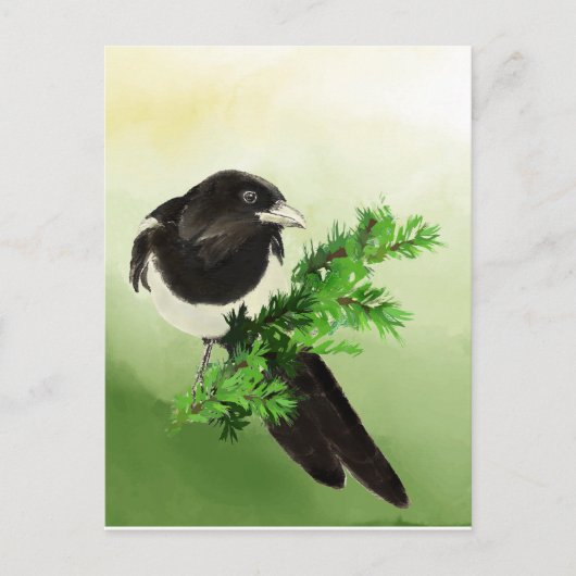 Waterverf curieuze Magpie Garden Bird Wildife Art Briefkaart (Voorkant)