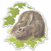 Waterverf Cute Little Bunny Rabbit Dier Sticker (Voorkant)