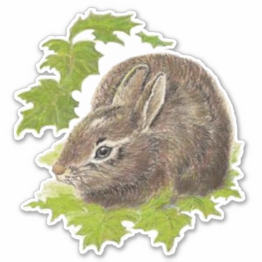 Waterverf Cute Little Bunny Rabbit Dier Sticker (Voorkant)