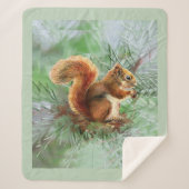 Waterverf Cute Red Squirrel Wildlife Animal Art Sherpa Deken (Voorkant)
