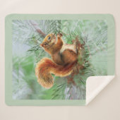 Waterverf Cute Red Squirrel Wildlife Animal Art Sherpa Deken (Voorkant (horizontaal))