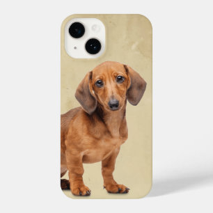 Waterverf Dachshund Dog Dier iPhone 14 Hoesje