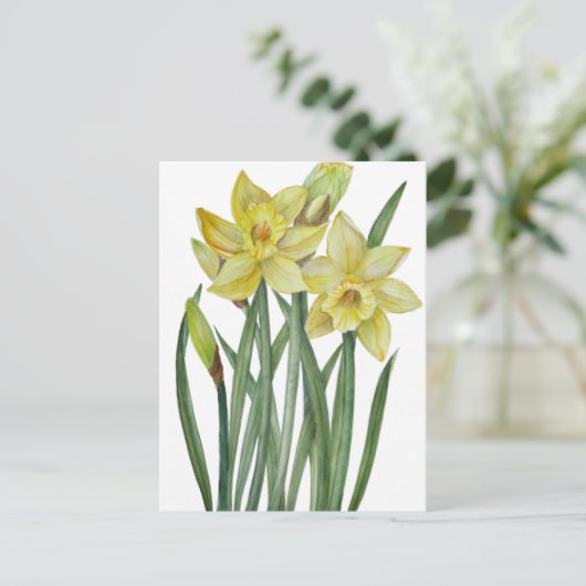 Waterverf Daffodils Flower Portrait Illustratie Briefkaart (Staand voorkant)