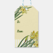 Waterverf Daffodils Flower Portrait Illustratie Cadeaulabel (Achterkant)