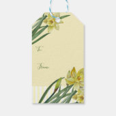 Waterverf Daffodils Flower Portrait Illustratie Cadeaulabel (Achterkant)